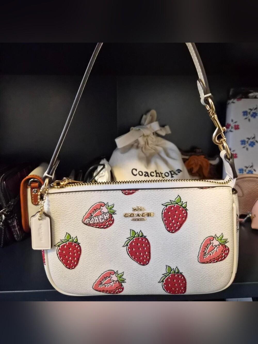 Coach Nolita 19 in Strawberry Print CAL25